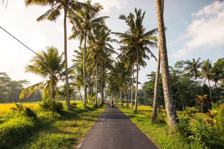 tip You Must Know before Traveling to Bali