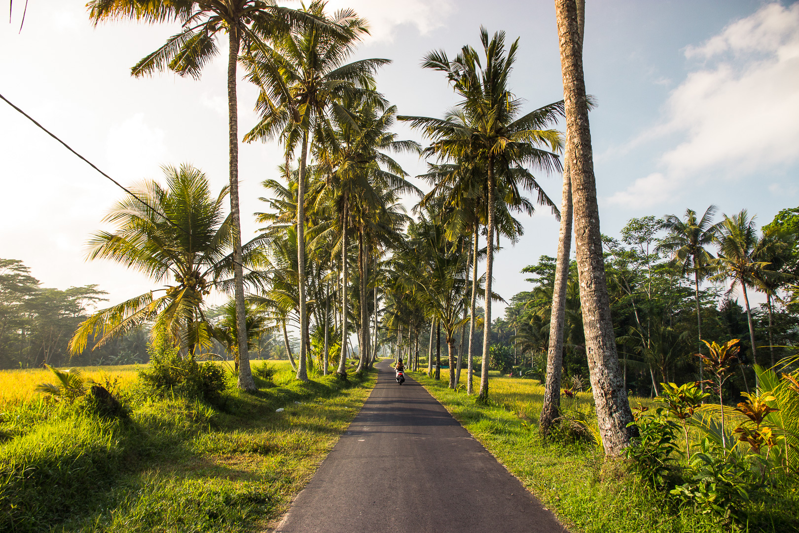 tip You Must Know before Traveling to Bali